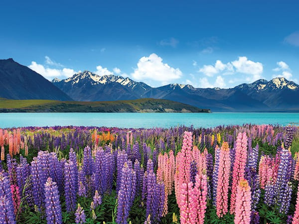 Luxury Travels New Zealand