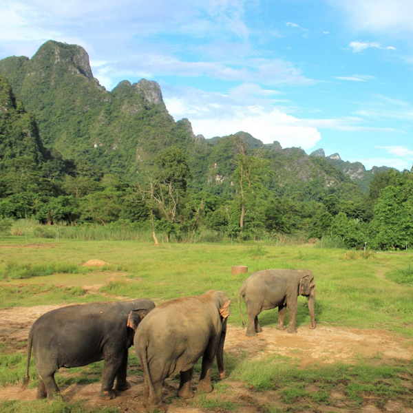 A Must-Visit Destination!